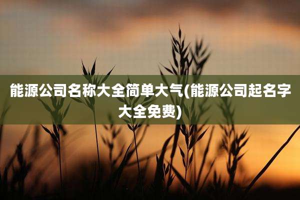 能源公司名称大全简单大气(能源公司起名字大全免费)