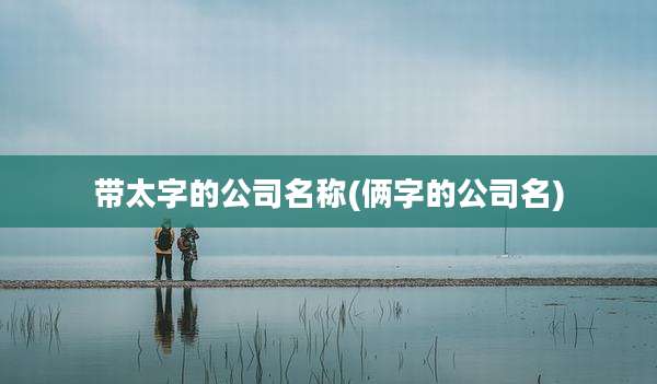 带太字的公司名称(俩字的公司名)