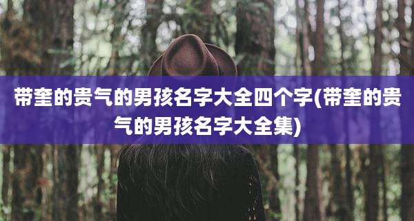 带奎的贵气的男孩名字大全四个字(带奎的贵气的男孩名字大全集)