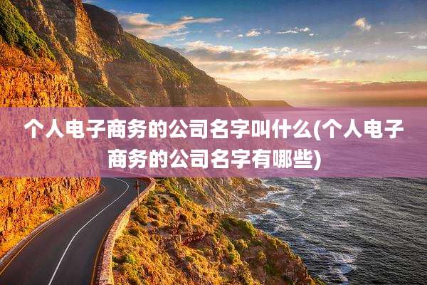 个人电子商务的公司名字叫什么(个人电子商务的公司名字有哪些)