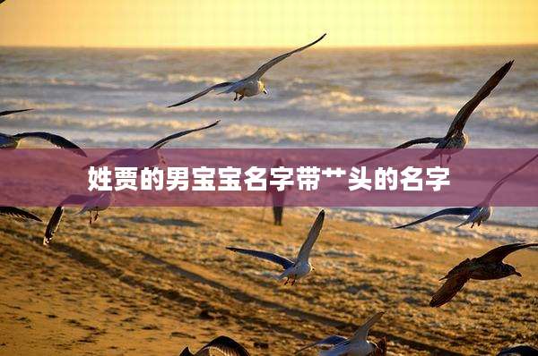 姓贾的男宝宝名字带艹头的名字