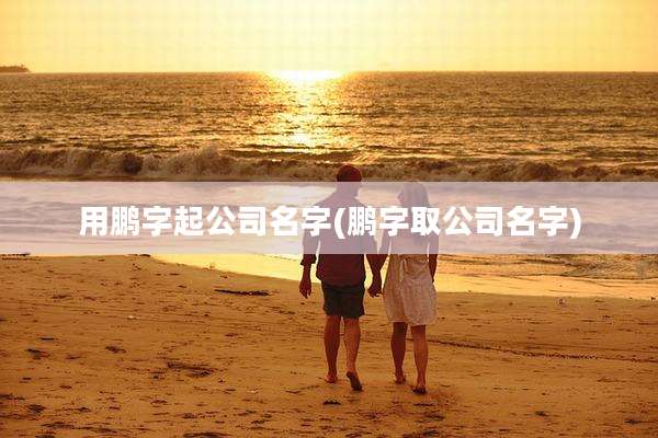 用鹏字起公司名字(鹏字取公司名字)