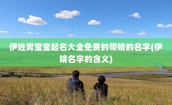 伊姓男宝宝起名大全免费的带婧的名字(伊婧名字的含义)