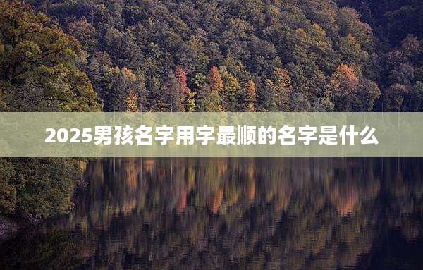 2025男孩名字用字最顺的名字是什么
