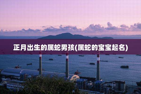 正月出生的属蛇男孩(属蛇的宝宝起名)