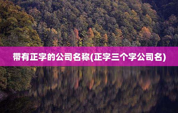 带有正字的公司名称(正字三个字公司名)