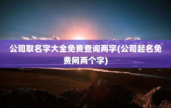 公司取名字大全免费查询两字(公司起名免费网两个字)