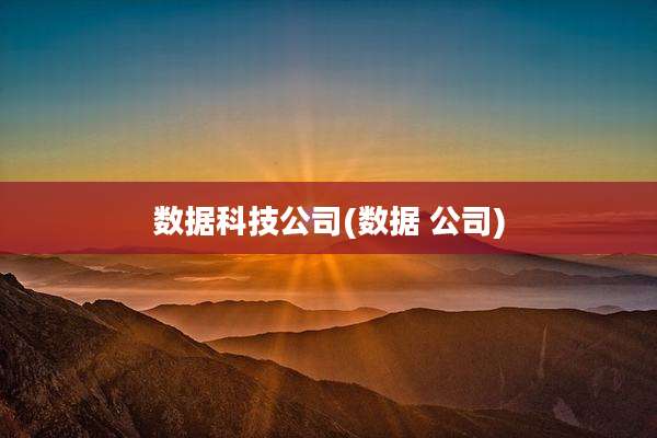 数据科技公司(数据 公司)
