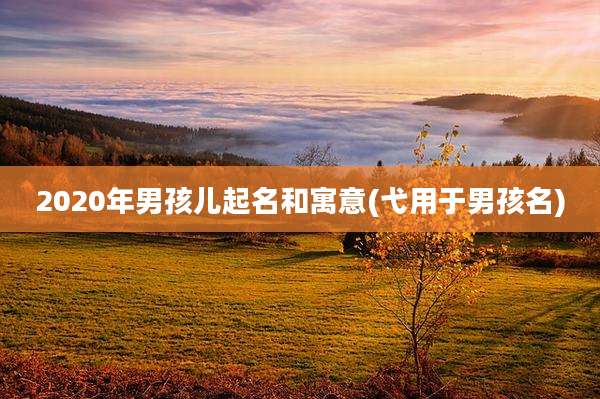 2020年男孩儿起名和寓意(弋用于男孩名)