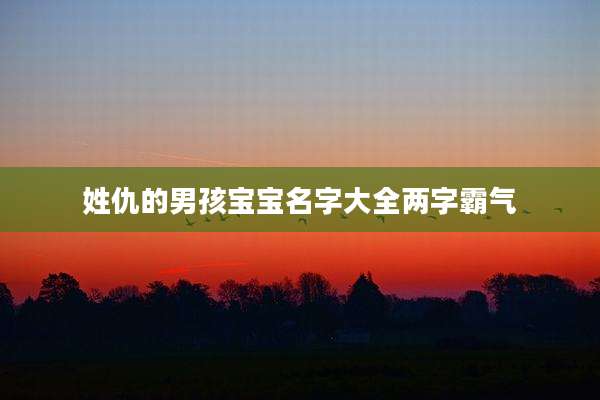 姓仇的男孩宝宝名字大全两字霸气