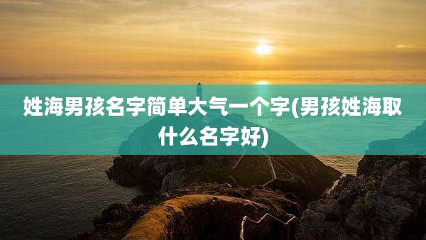 姓海男孩名字简单大气一个字(男孩姓海取什么名字好)