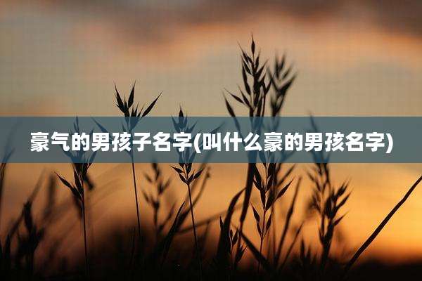 豪气的男孩子名字(叫什么豪的男孩名字)