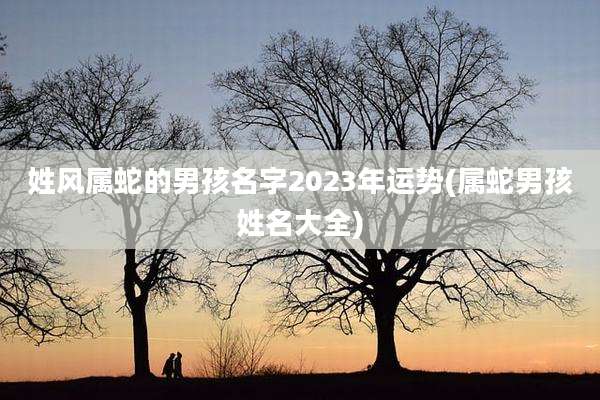 姓风属蛇的男孩名字2023年运势(属蛇男孩姓名大全)