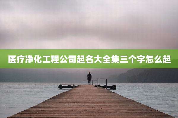 医疗净化工程公司起名大全集三个字怎么起