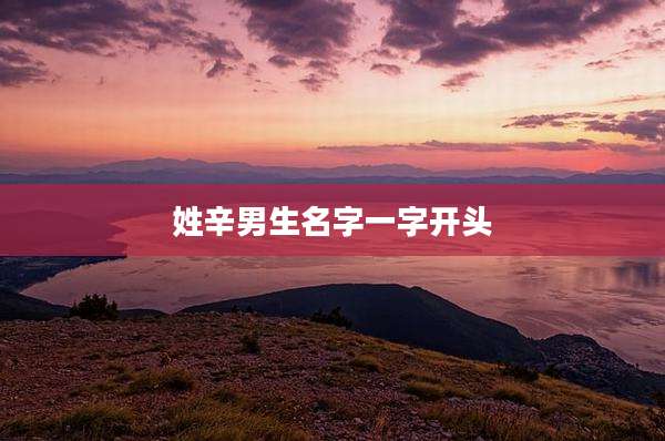 姓辛男生名字一字开头