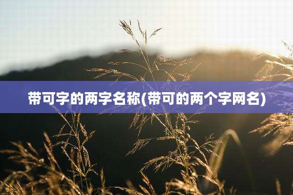 带可字的两字名称(带可的两个字网名)