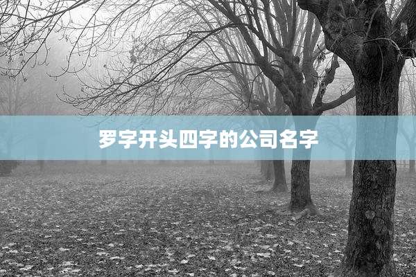 罗字开头四字的公司名字