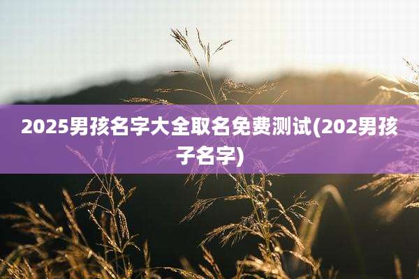 2025男孩名字大全取名免费测试(202男孩子名字)