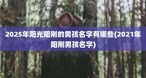 2025年阳光阳刚的男孩名字有哪些(2021年阳刚男孩名字)