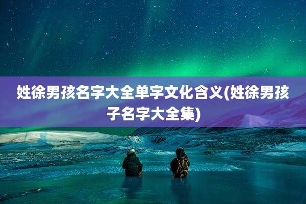姓徐男孩名字大全单字文化含义(姓徐男孩子名字大全集)