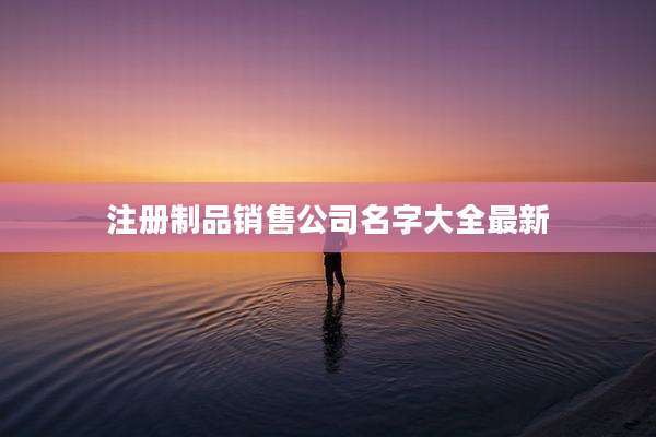 注册制品销售公司名字大全最新