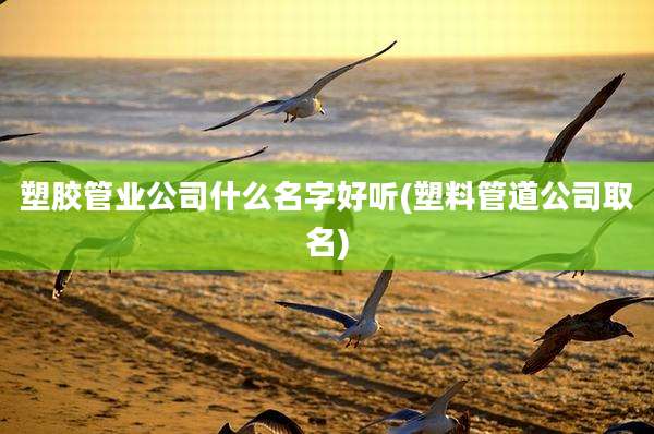 塑胶管业公司什么名字好听(塑料管道公司取名)