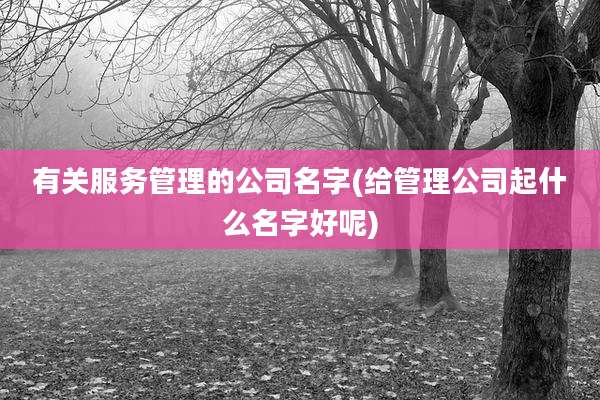 有关服务管理的公司名字(给管理公司起什么名字好呢)