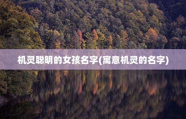 机灵聪明的女孩名字(寓意机灵的名字)