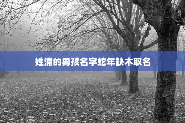 姓浦的男孩名字蛇年缺木取名
