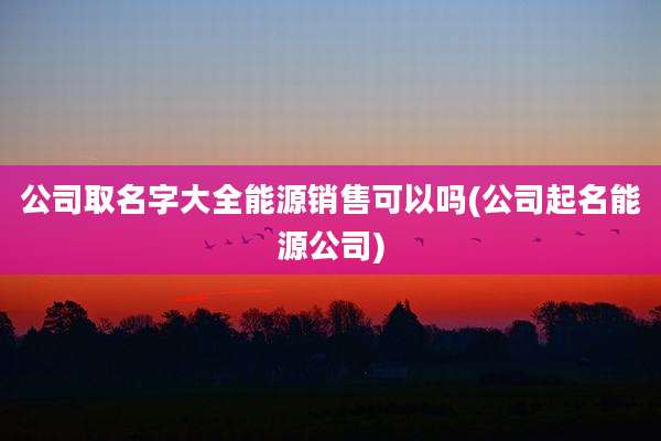 公司取名字大全能源销售可以吗(公司起名能源公司)