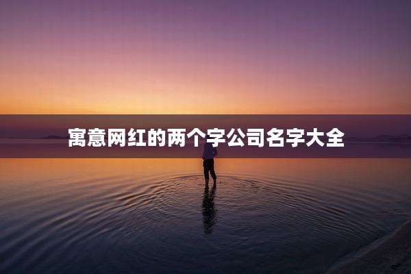 寓意网红的两个字公司名字大全