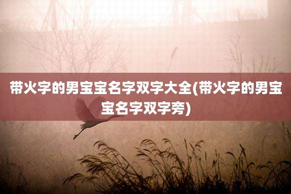 带火字的男宝宝名字双字大全(带火字的男宝宝名字双字旁)