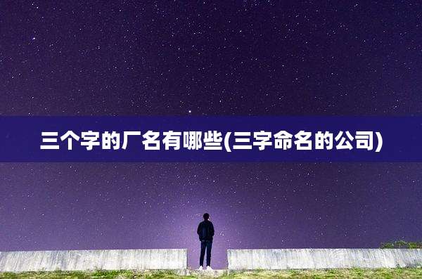 三个字的厂名有哪些(三字命名的公司)