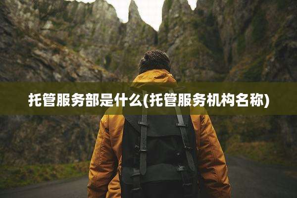 托管服务部是什么(托管服务机构名称)