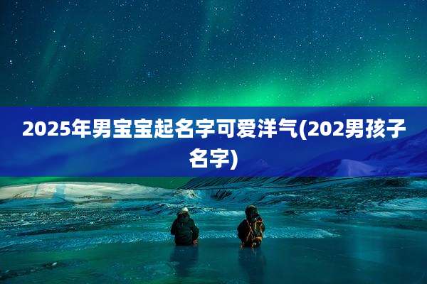 2025年男宝宝起名字可爱洋气(202男孩子名字)