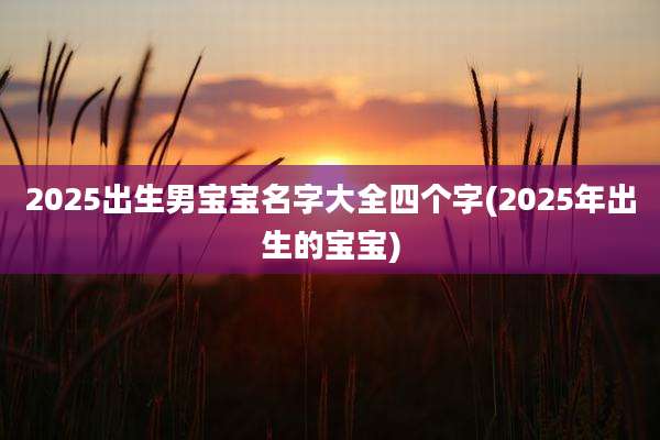 2025出生男宝宝名字大全四个字(2025年出生的宝宝)