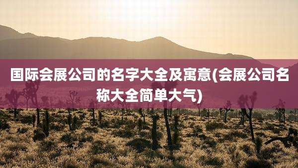 国际会展公司的名字大全及寓意(会展公司名称大全简单大气)