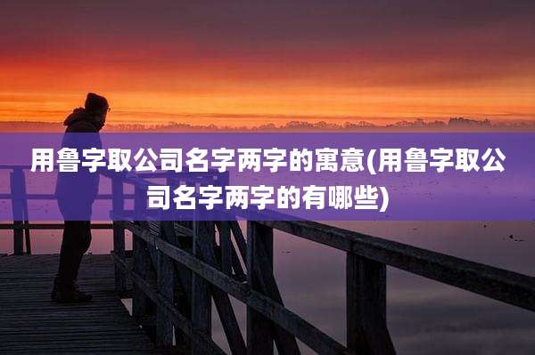 用鲁字取公司名字两字的寓意(用鲁字取公司名字两字的有哪些)
