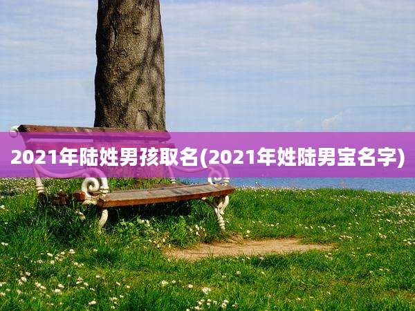 2021年陆姓男孩取名(2021年姓陆男宝名字)