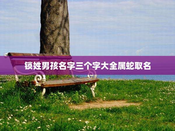 锁姓男孩名字三个字大全属蛇取名