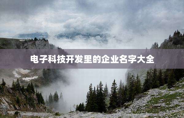 电子科技开发里的企业名字大全