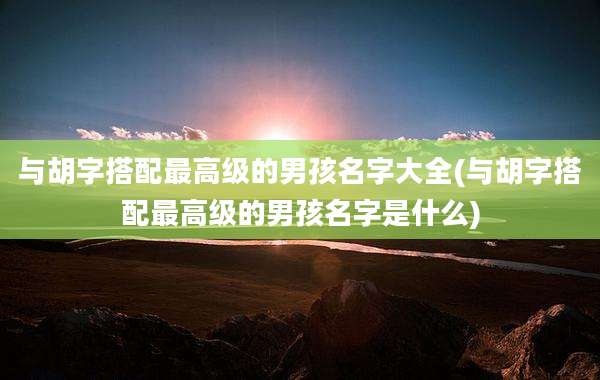 与胡字搭配最高级的男孩名字大全(与胡字搭配最高级的男孩名字是什么)
