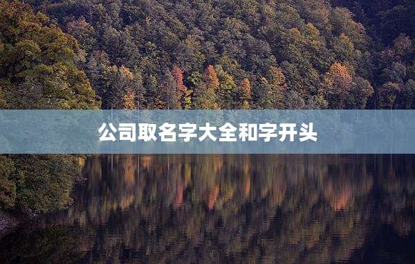 公司取名字大全和字开头