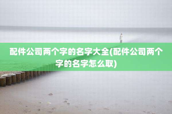 配件公司两个字的名字大全(配件公司两个字的名字怎么取)