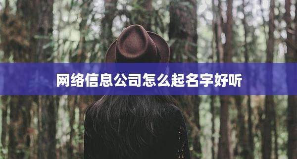 网络信息公司怎么起名字好听