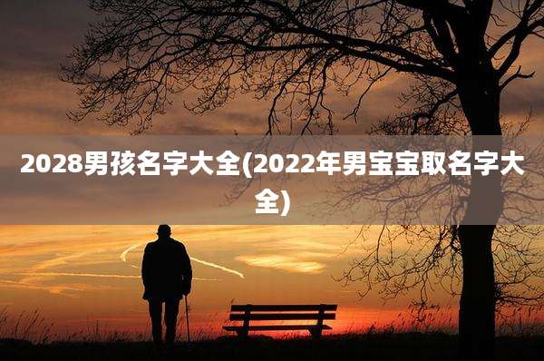2028男孩名字大全(2022年男宝宝取名字大全)