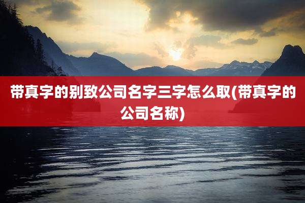 带真字的别致公司名字三字怎么取(带真字的公司名称)