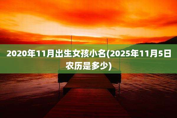 2020年11月出生女孩小名(2025年11月5日农历是多少)