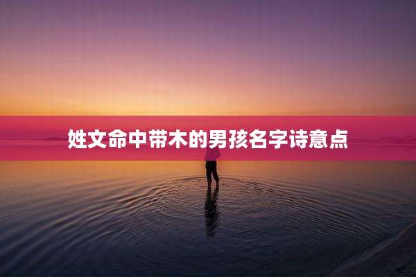 姓文命中带木的男孩名字诗意点