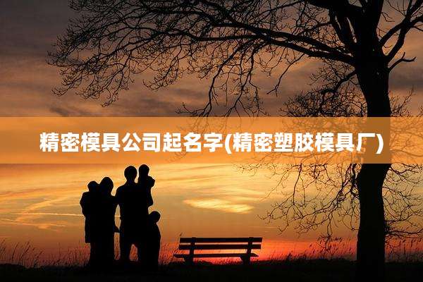 精密模具公司起名字(精密塑胶模具厂)